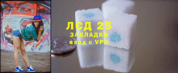 дживик Няндома