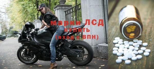 стафф Новокубанск