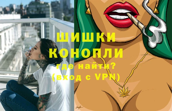 хмурый Новозыбков