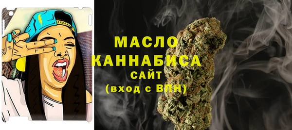 хмурый Новозыбков