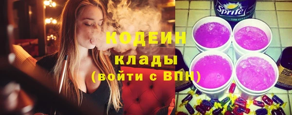 хмурый Новозыбков