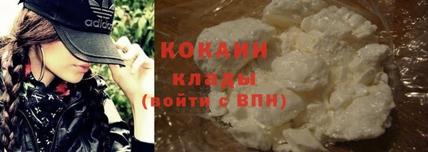 стафф Новокубанск