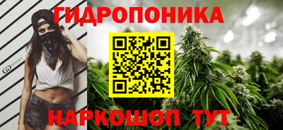 трава Гай