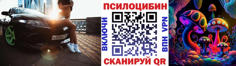 купить закладку Кумертау Псилоцибиновые грибы GOLDEN TEACHER