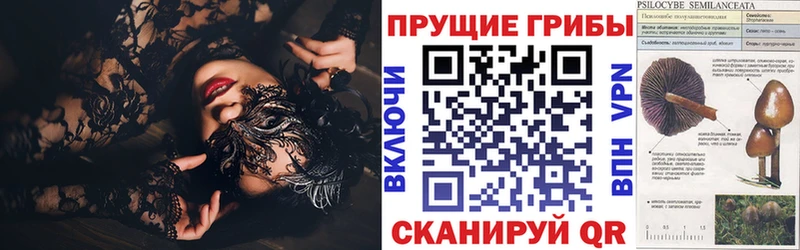 Галлюциногенные грибы Psilocybe Кумертау