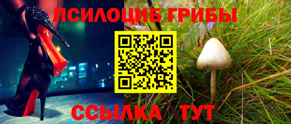 Галлюциногенные грибы Psilocybine cubensis  Вход с VPN  Кумертау 