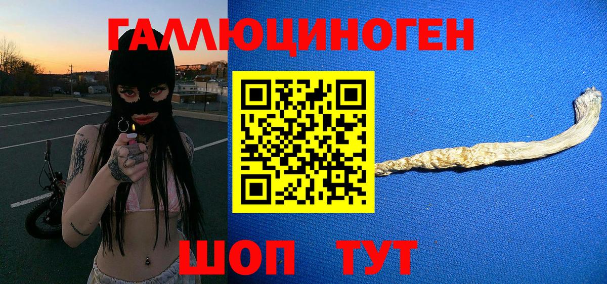 Галлюциногенные грибы GOLDEN TEACHER  Кумертау  купить наркотик  Галлюциногенные грибы мухоморы 