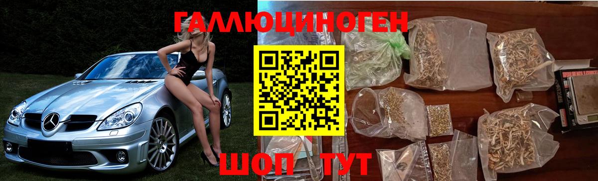 Псилоцибиновые грибы Кумертау